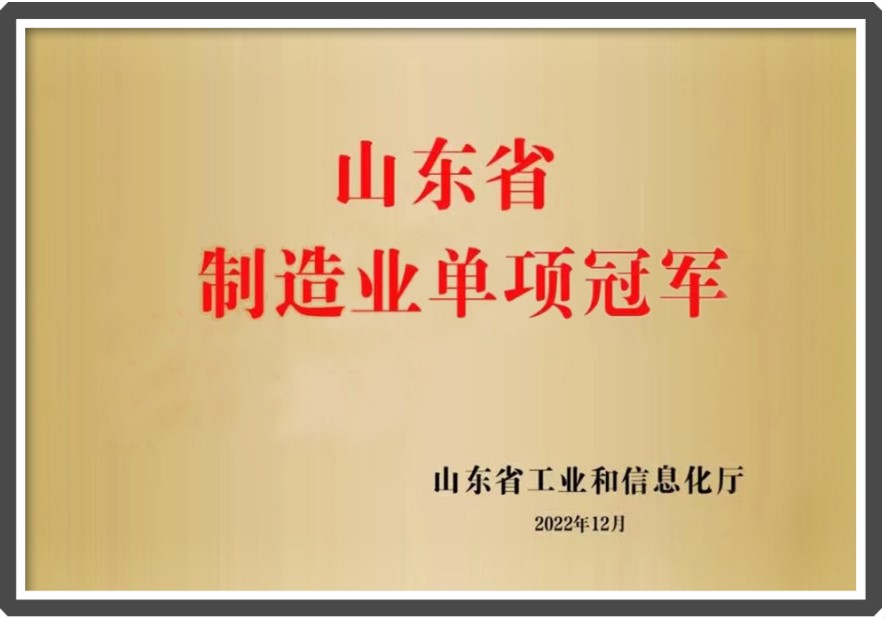 山东省制造业单项冠军.jpg